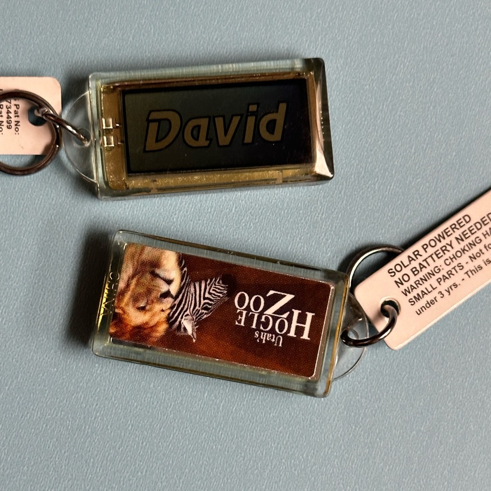 Zoo souvenirs solar powered Blinking double view key chain - David & Utah’s Zoo